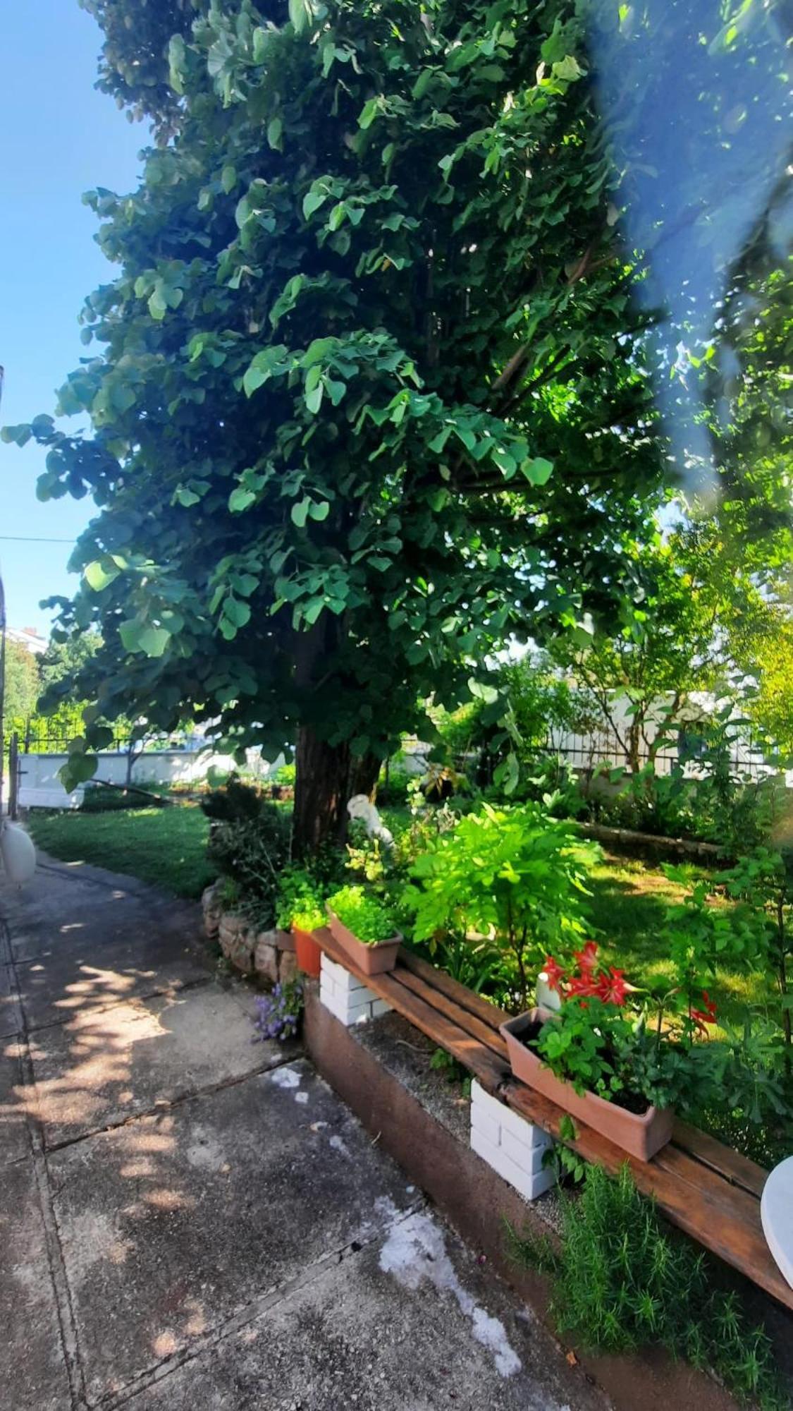 Apartmani Tinka Starigrad Paklenica Ngoại thất bức ảnh